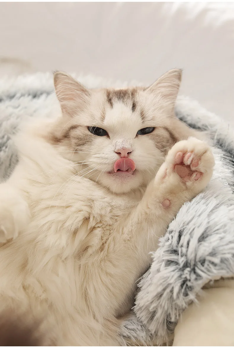 Cats Round Plush Bed Cats Round Plush Bed